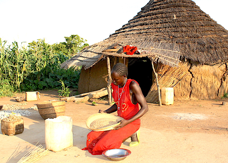 Food Champions in a time of Famine